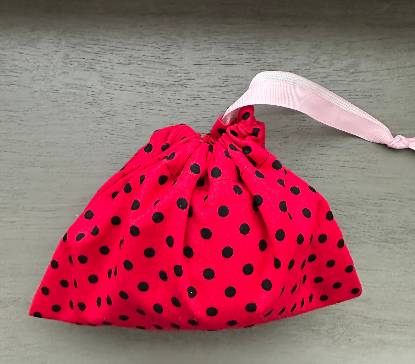 Little Lady Bug Project Bag